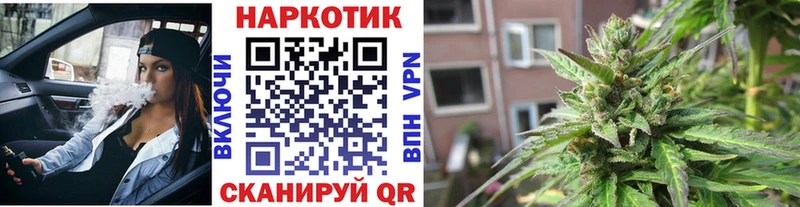Купить закладку Конопля  Кокаин  Альфа ПВП  Меф  Гашиш  Кудрово