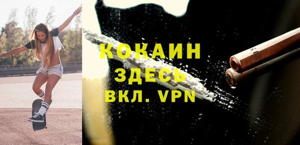 соль ск Богданович