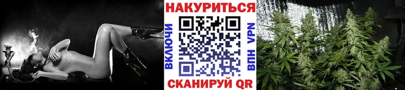 Каннабис AK-47  Купить закладки  Кудрово 